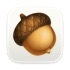 Acorn for mac